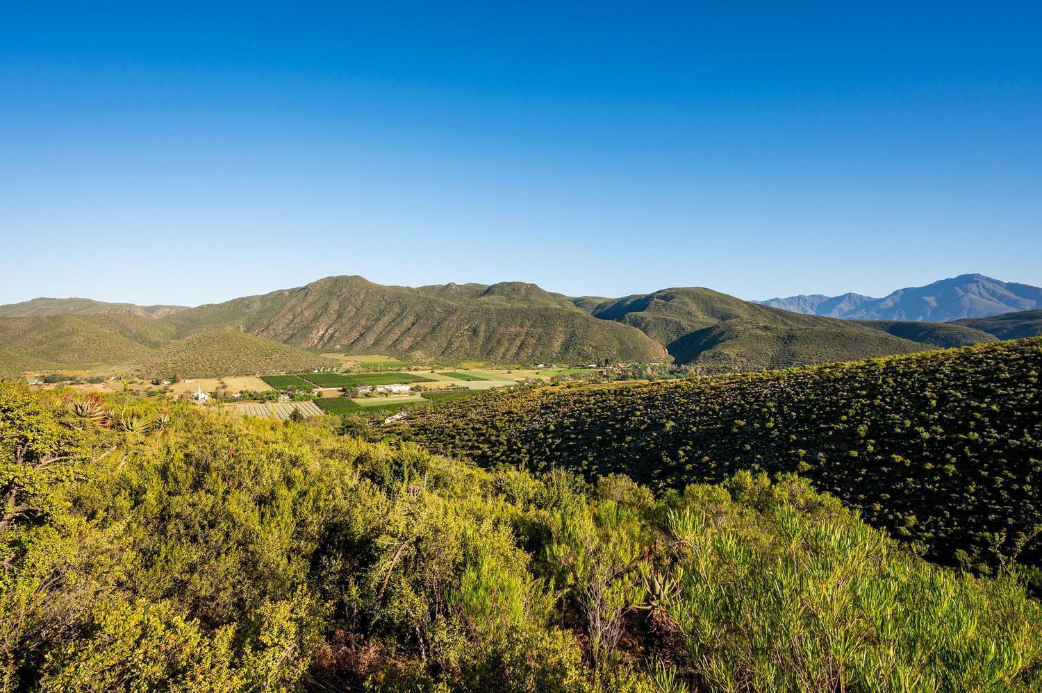 לינה וארוחת בוקר אאודטסהורן Le Petit Karoo Ranch מראה חיצוני תמונה