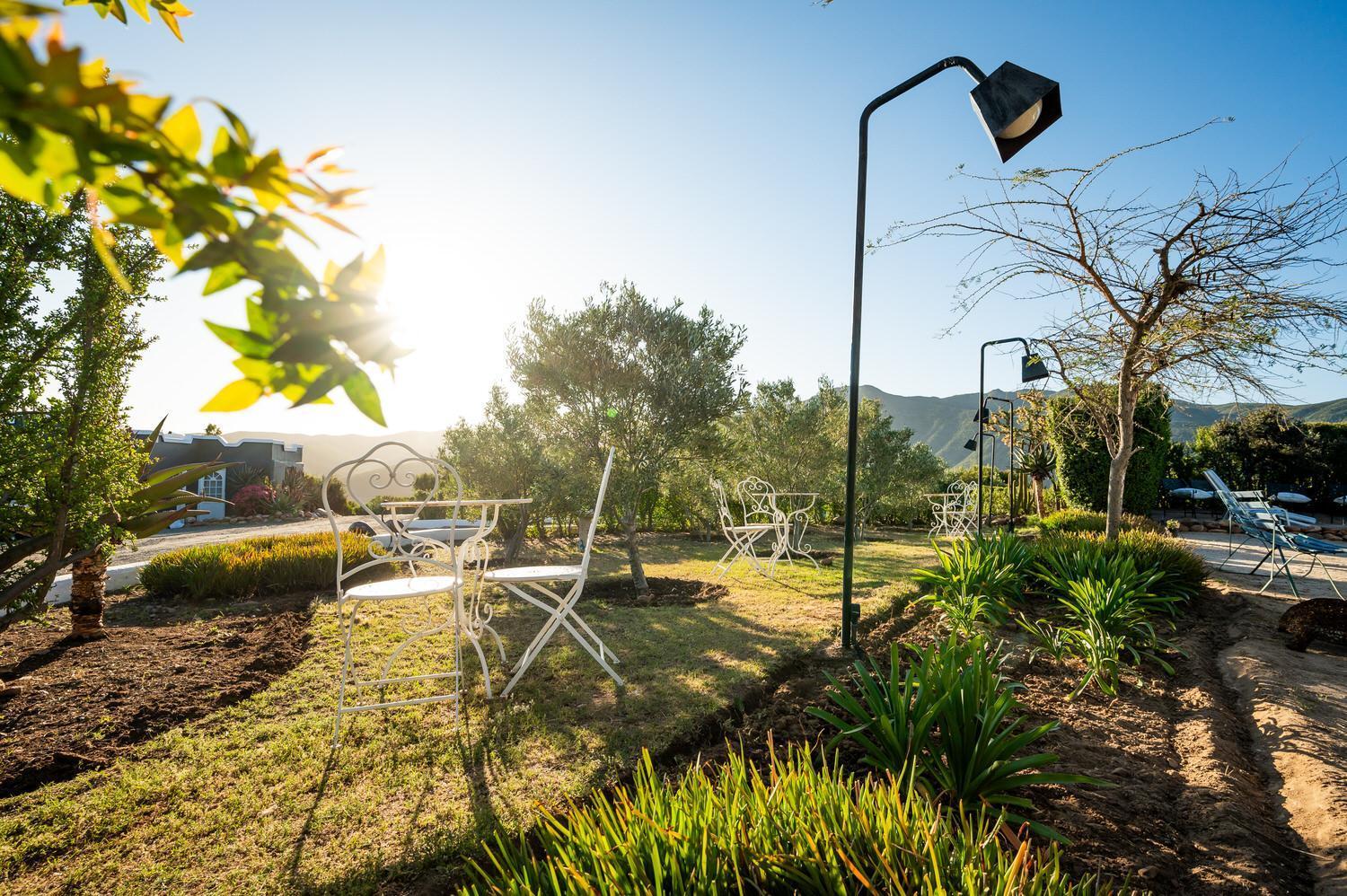 לינה וארוחת בוקר אאודטסהורן Le Petit Karoo Ranch מראה חיצוני תמונה
