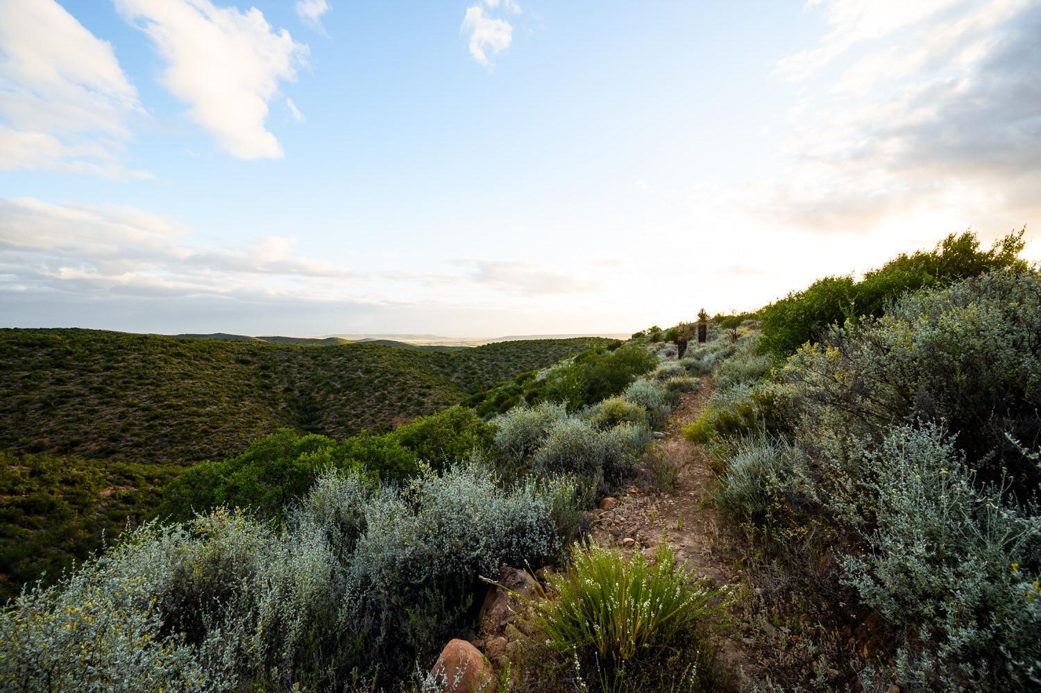 לינה וארוחת בוקר אאודטסהורן Le Petit Karoo Ranch מראה חיצוני תמונה