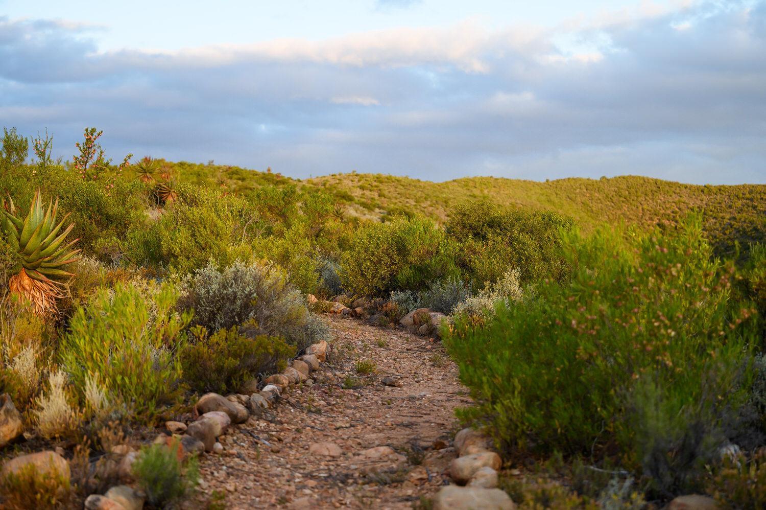 לינה וארוחת בוקר אאודטסהורן Le Petit Karoo Ranch מראה חיצוני תמונה